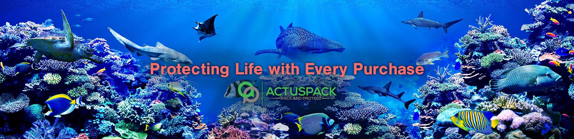 Actuspack® - The Plastic-Free Packaging Range | Kingfisher Packaging