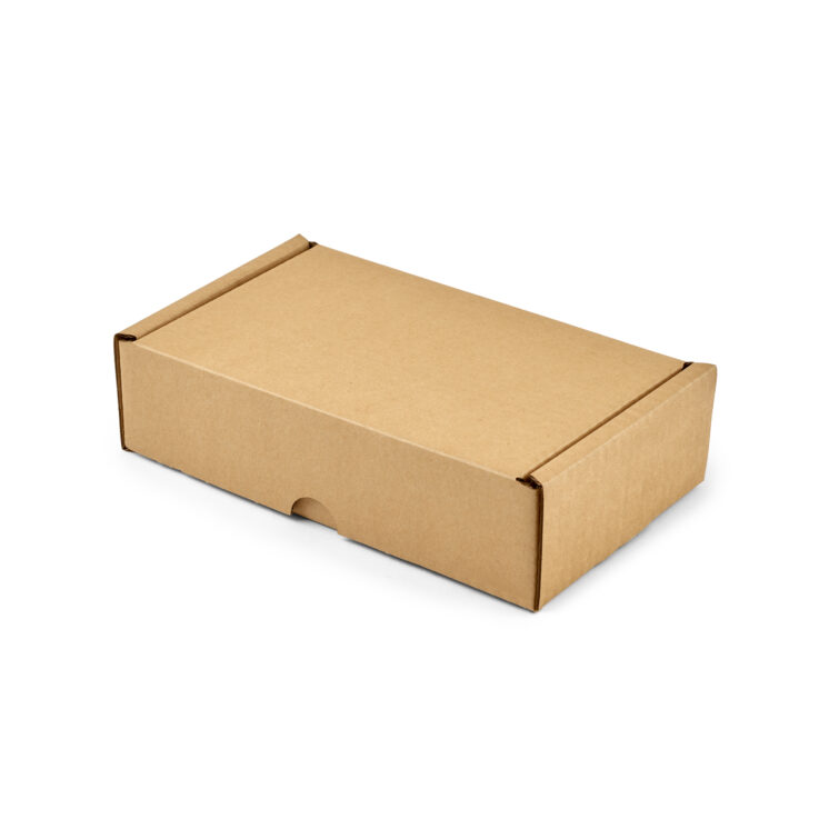 Propak® Hinged Lid Boxes