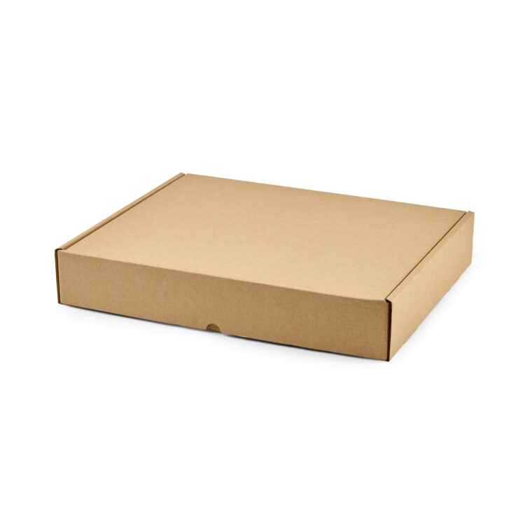 Propak® Hinged Lid Boxes - Image 5