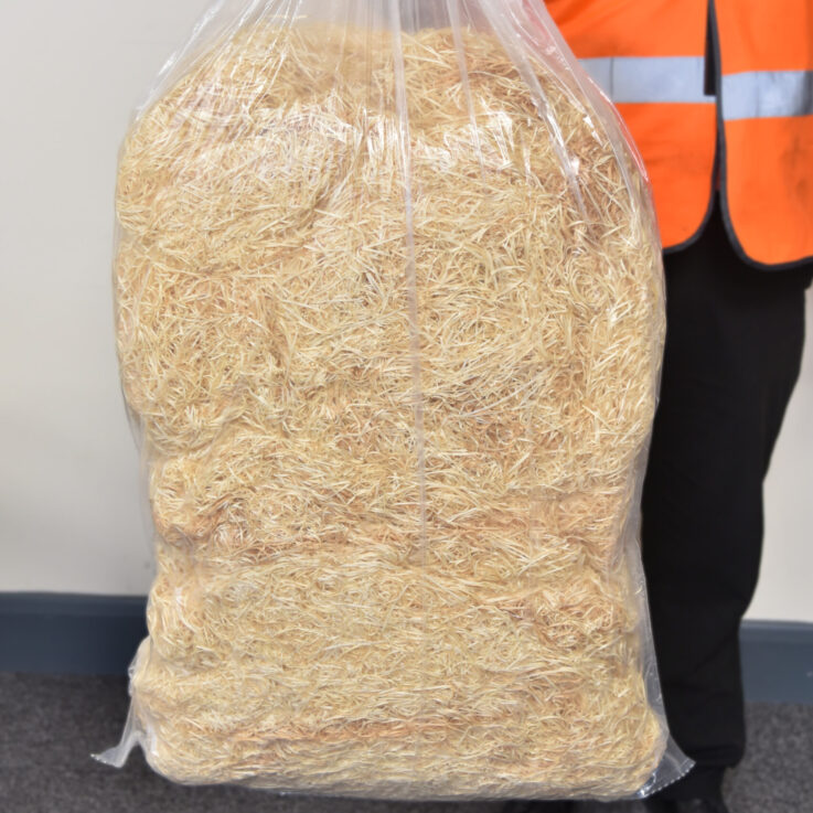 woodwool